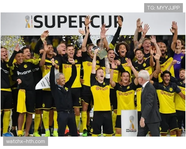 琼阿梅尼关键战表现稳定性争议